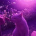 TicTacCxndy Profile Pic